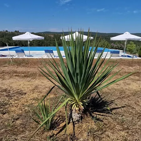 Holiday home Emine Banya (Burgas)